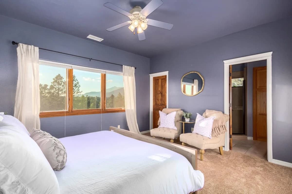 Wander Flagstaff Forest