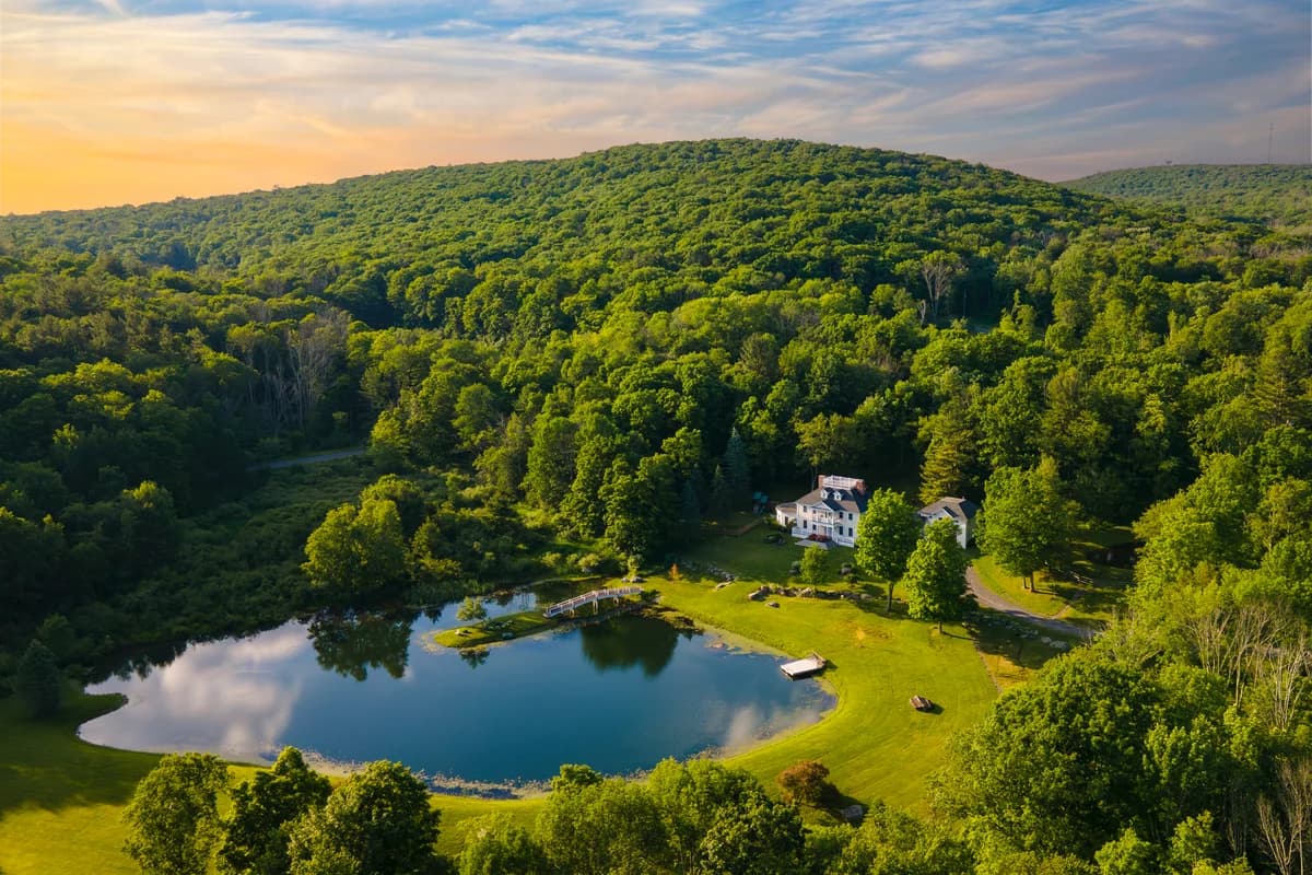 Wander Austerlitz Woods - Image 3