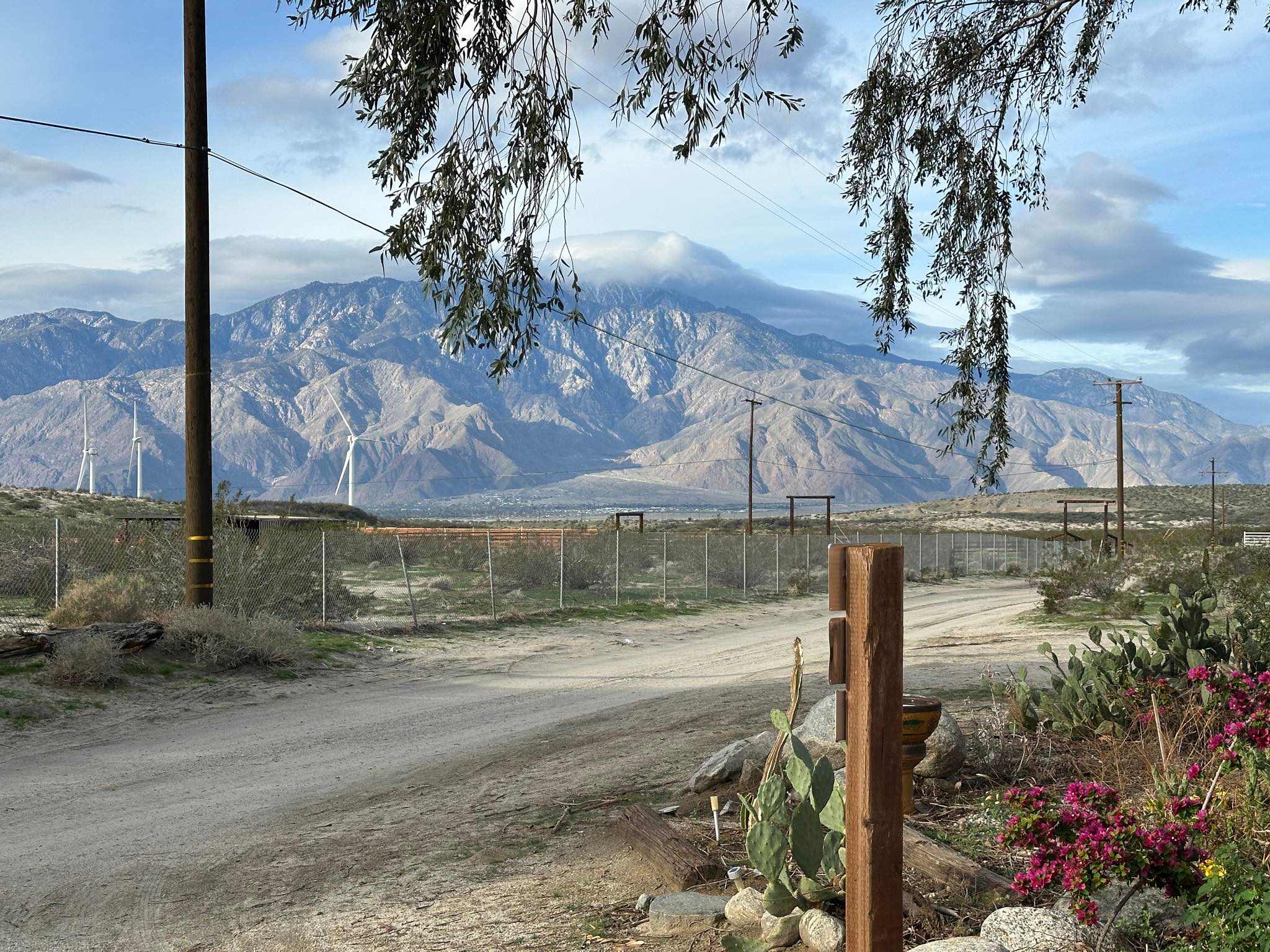 DragonflyHill Desert Farm - Image 3