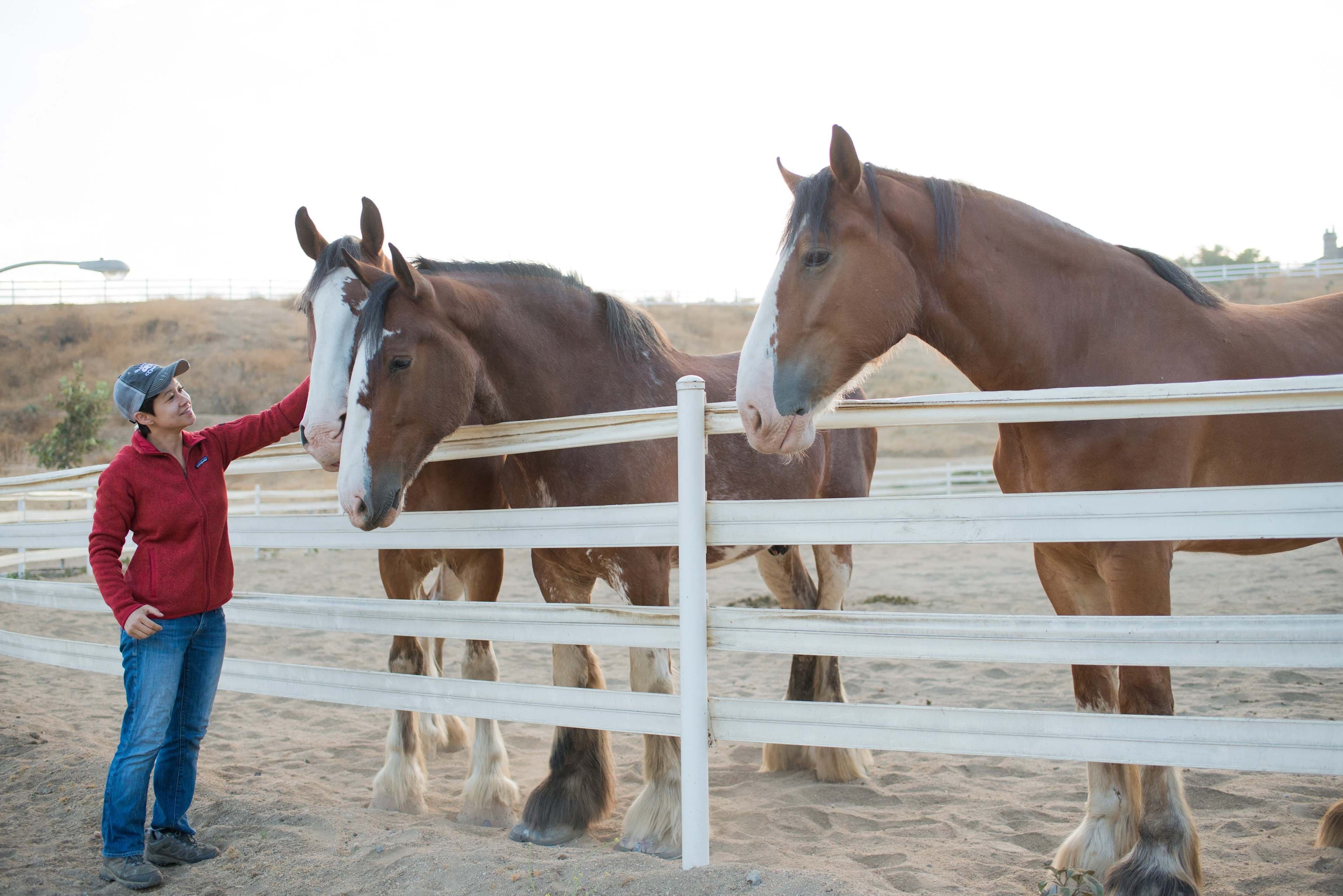 The Unhitched Ranch - Image 4