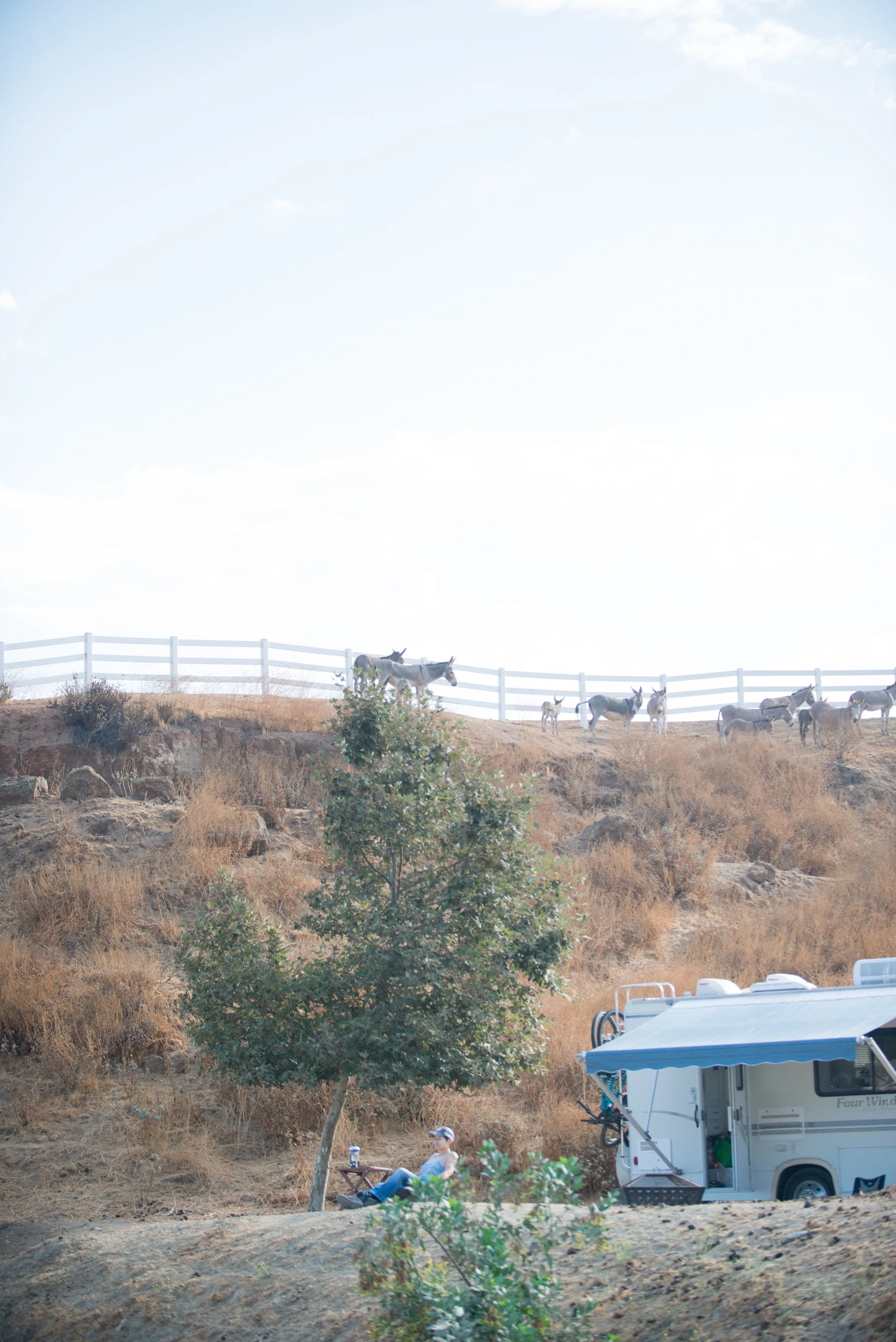 Hillside pasture with goats behind white fencing and RV parked below