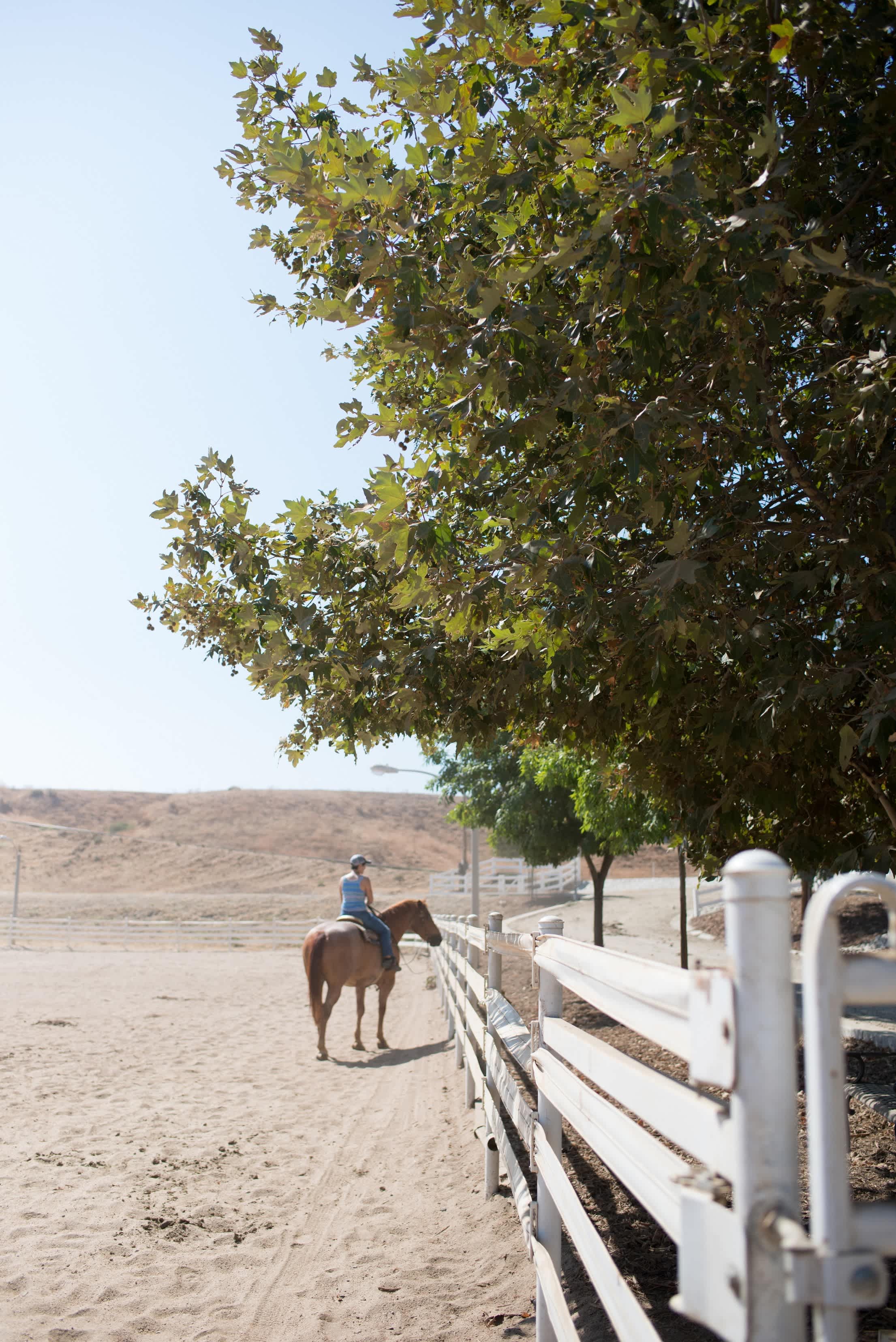 The Unhitched Ranch - Image 5