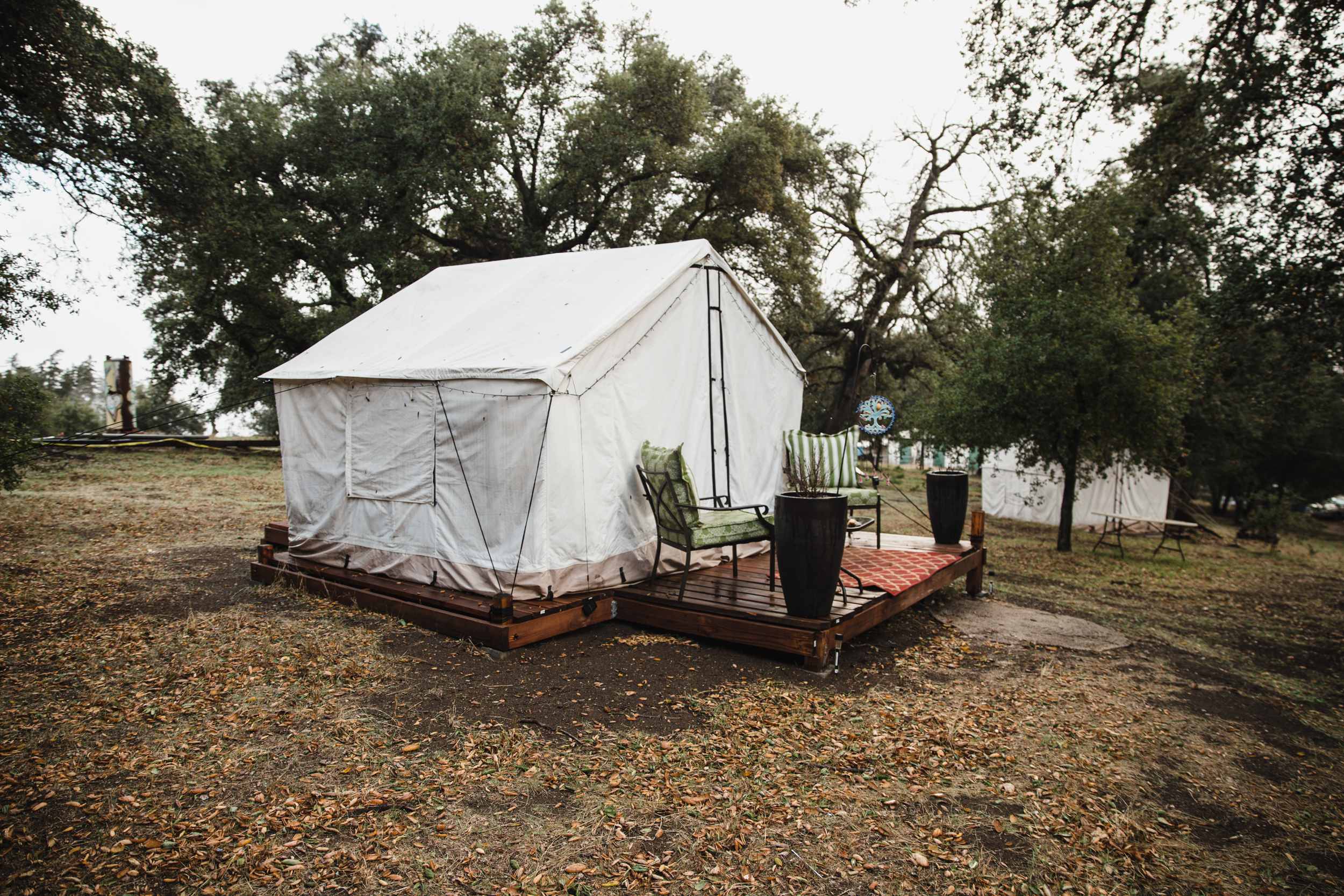 Magical Harrison Serenity Ranch - Image 5