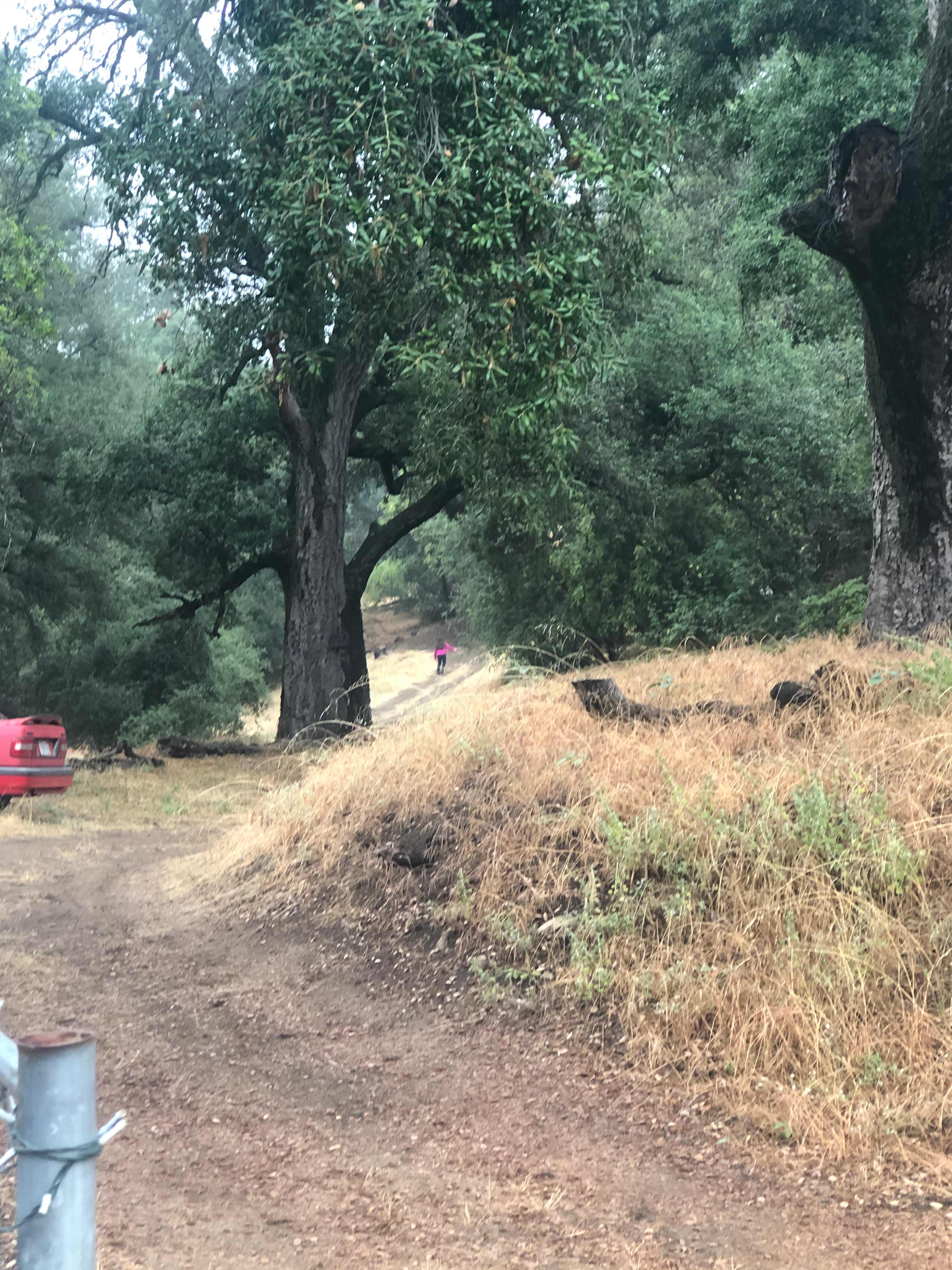 Magical Harrison Serenity Ranch