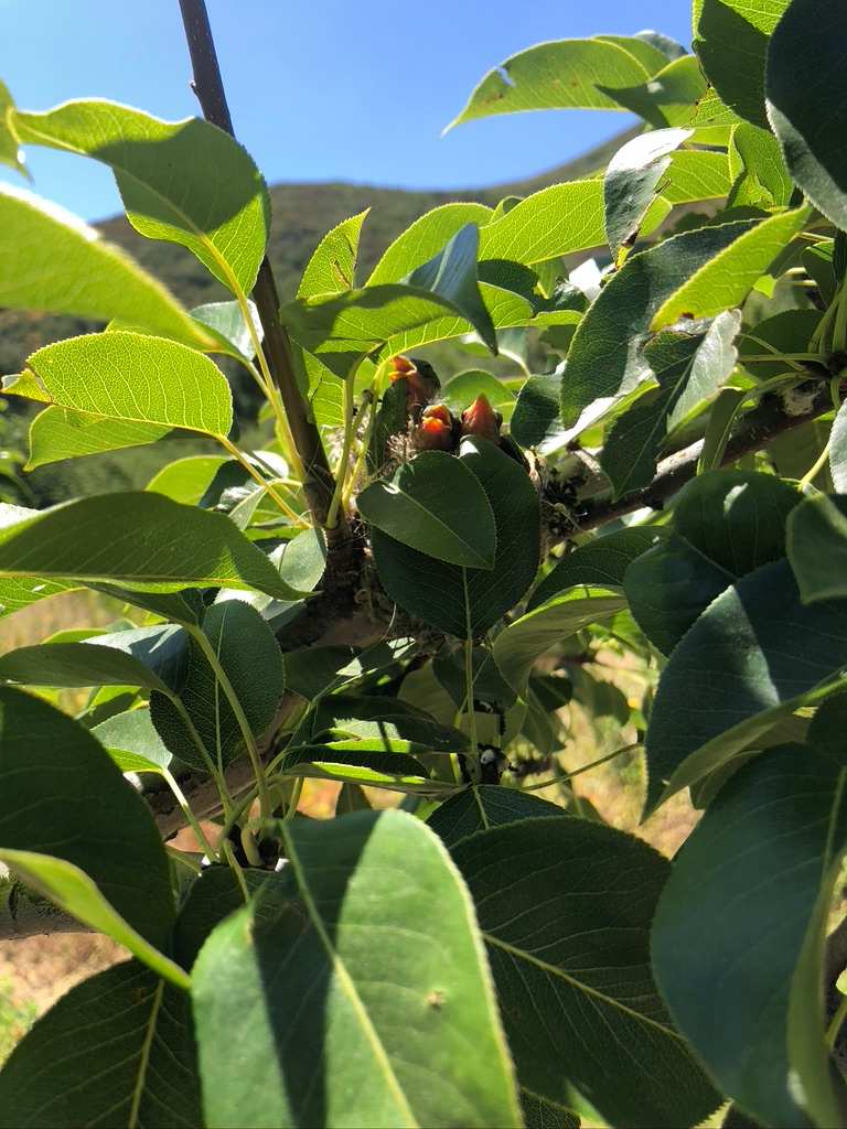 Cold Creek Homestead - Image 3