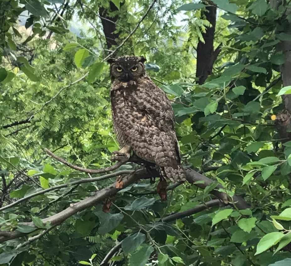 Cold Creek Homestead - Image 4