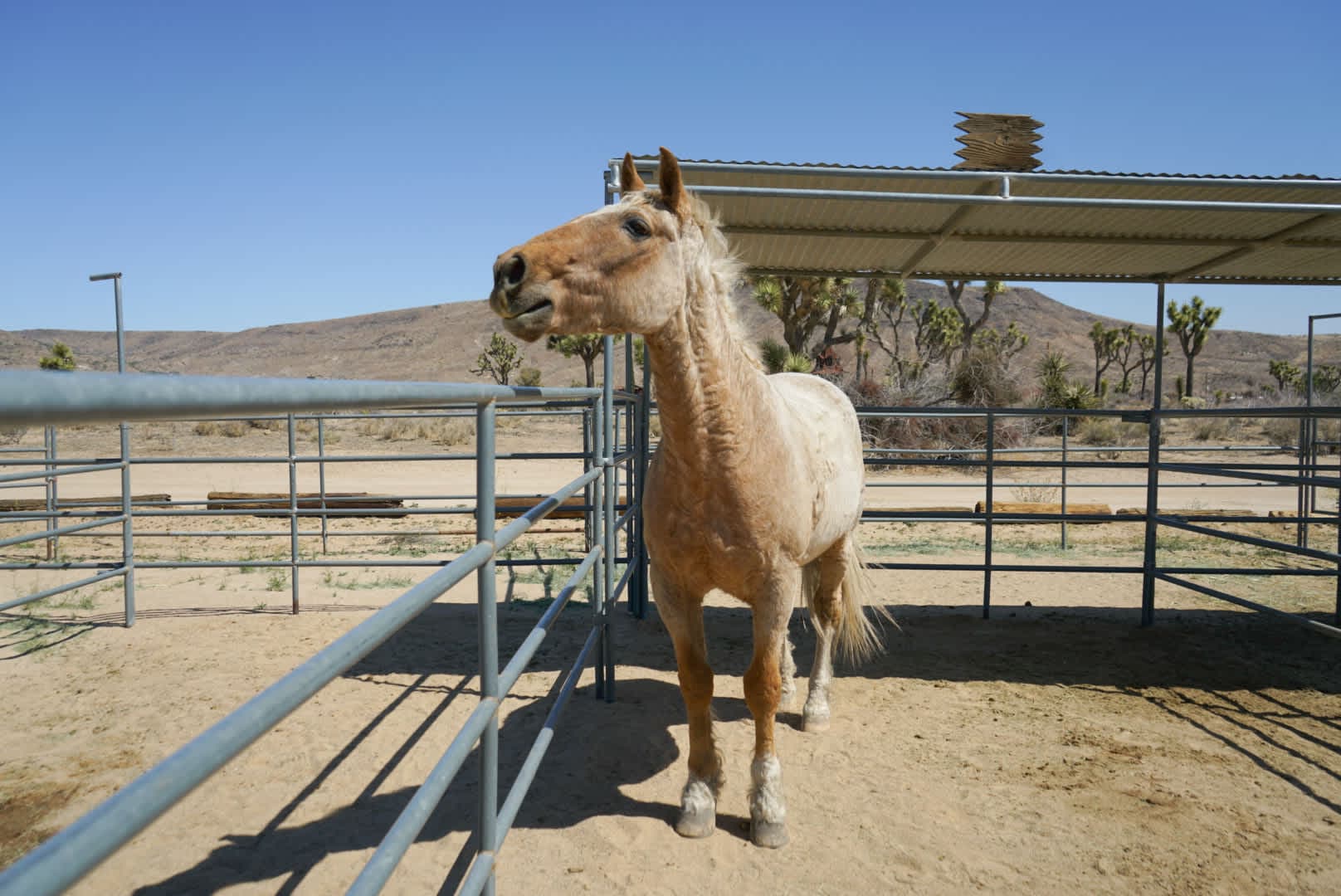 Pioneertown Corrals Camping - Image 4