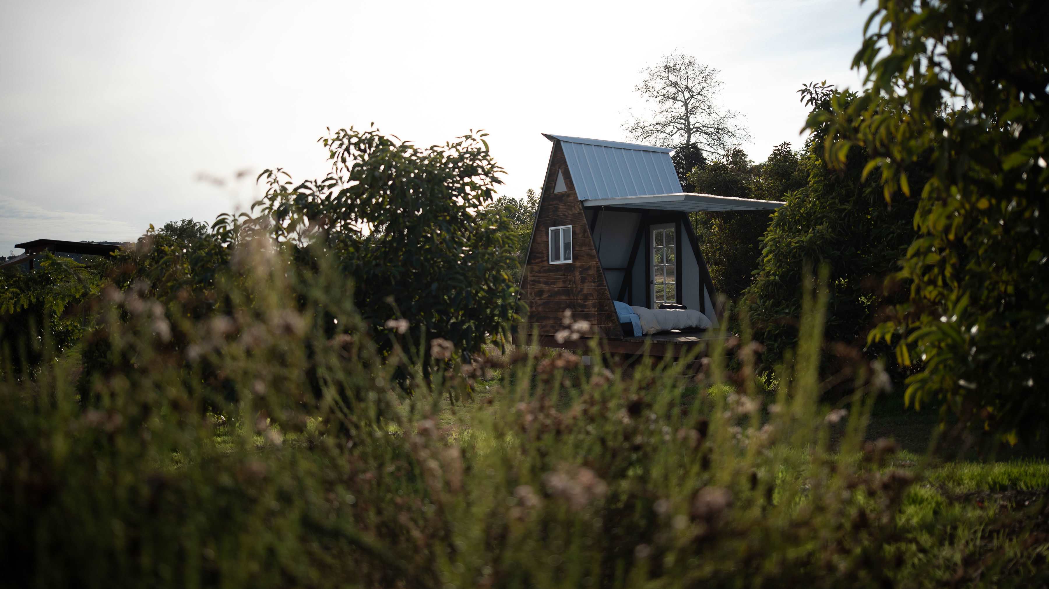 Campo Nopalito - Image 3