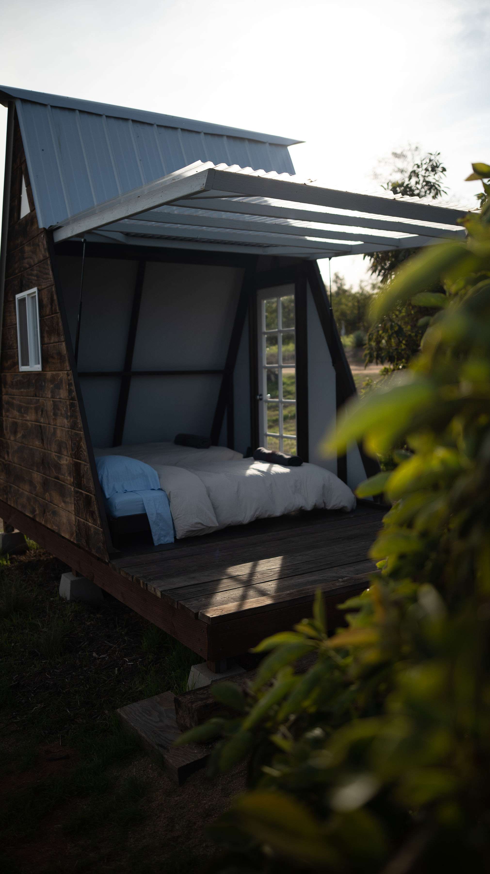 Campo Nopalito - Image 4