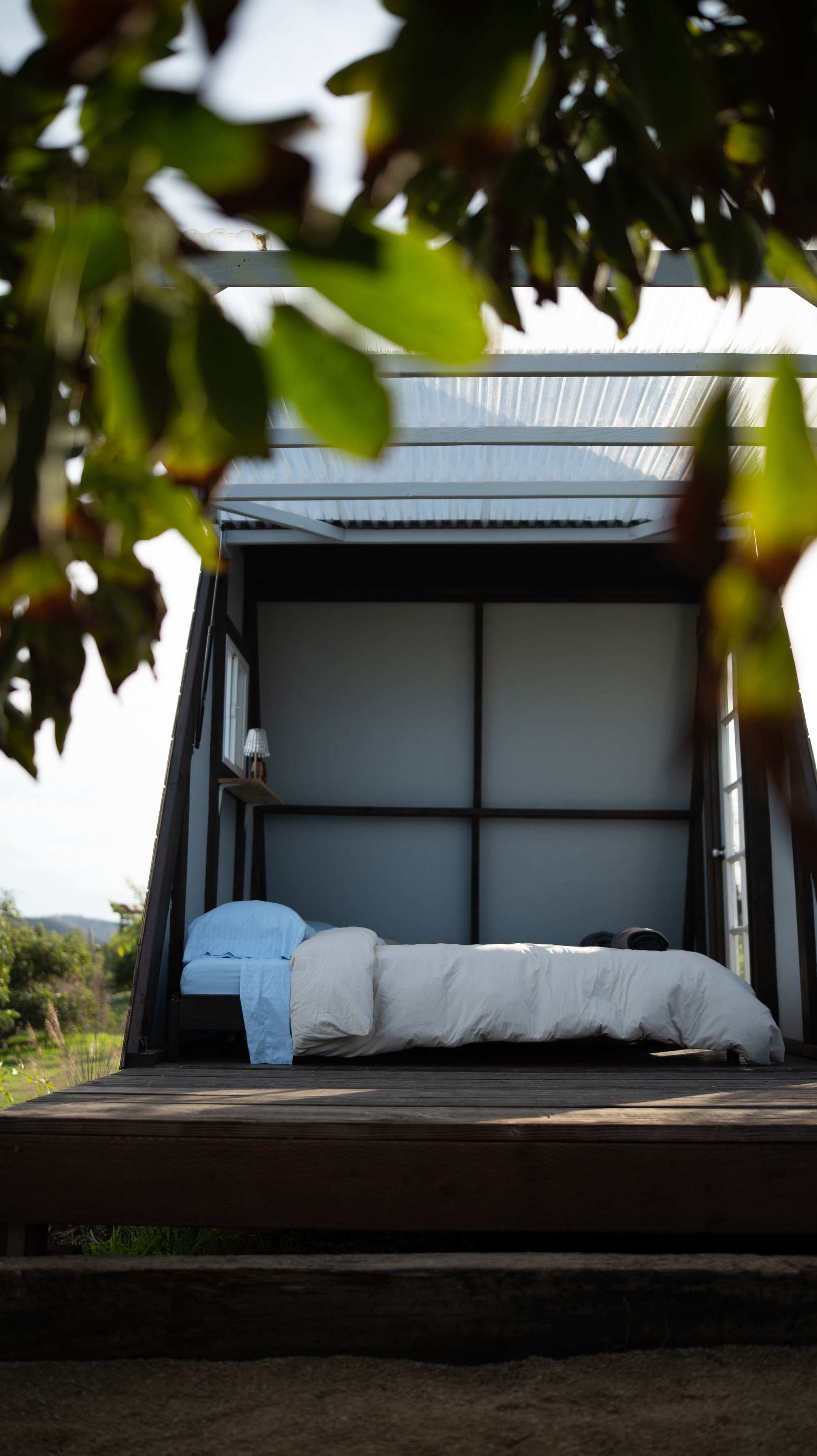 Campo Nopalito - Image 5