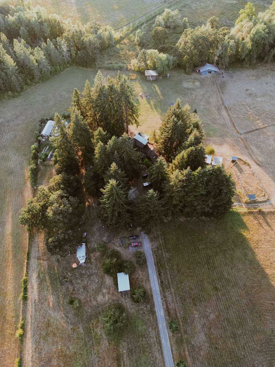 Aerial view of rustic cabins nestled among tall evergreen trees and fields