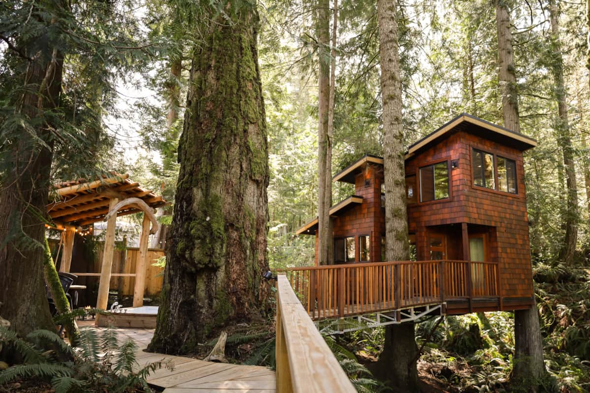 Red-cedar treehouse nestled among tall forest trees with wooden walkway and pergola structure