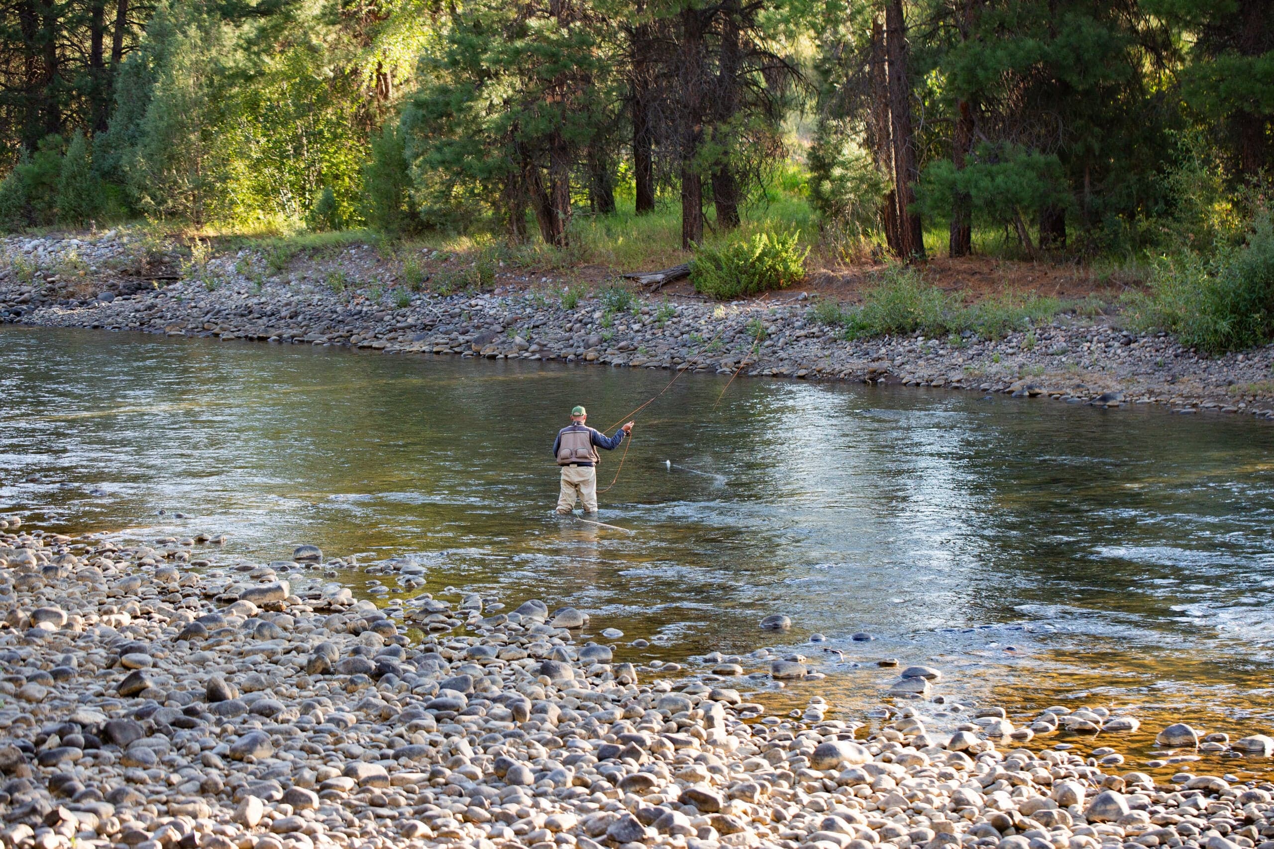 Man fly fishing in river with forested bank and rocky shore