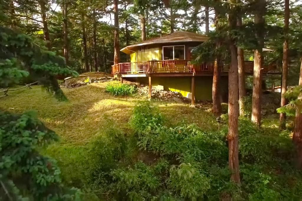 Modern treehouse with wooden deck nestled among tall pine trees