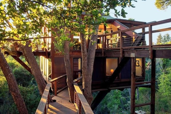 Modern elevated treehouse structure built around large trees with wooden deck and glass panels