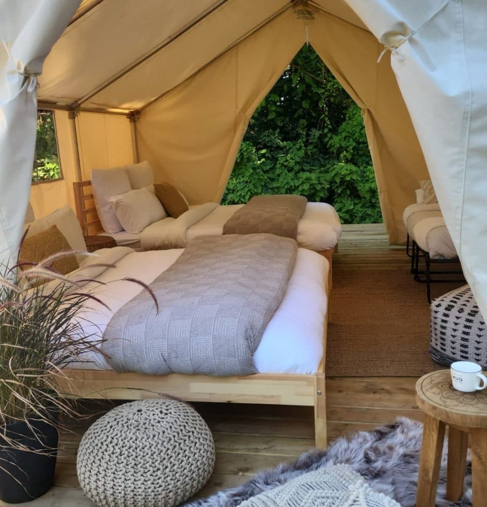 Interior of glamping tent with two beds, pillows, and wooden furniture overlooking green foliage