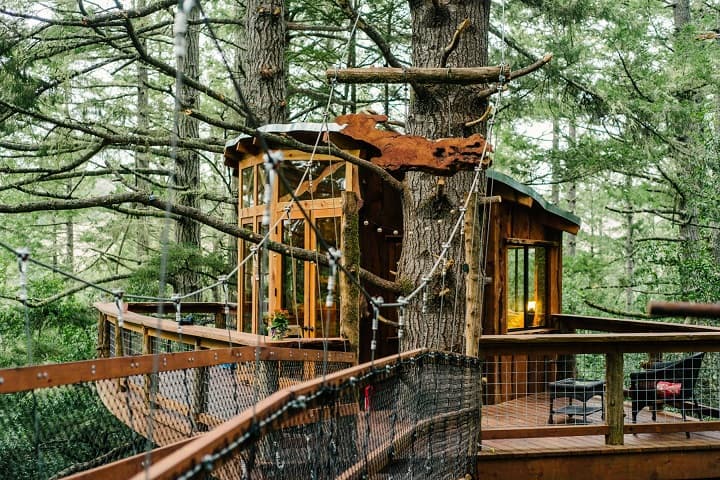 Wooden treehouse with bridge nestled in tall evergreen trees