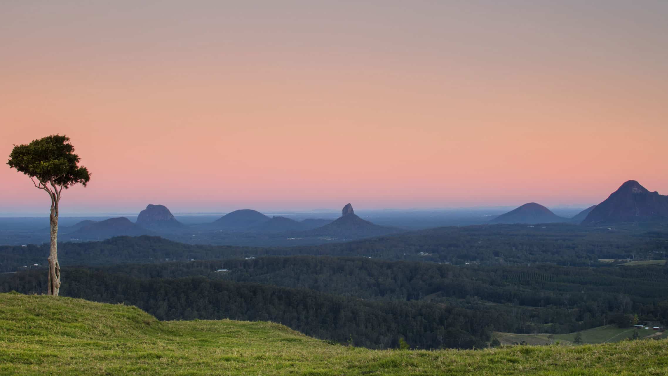 Sunrise over forested landscape with volcanic peaks and lone tree on green hillside