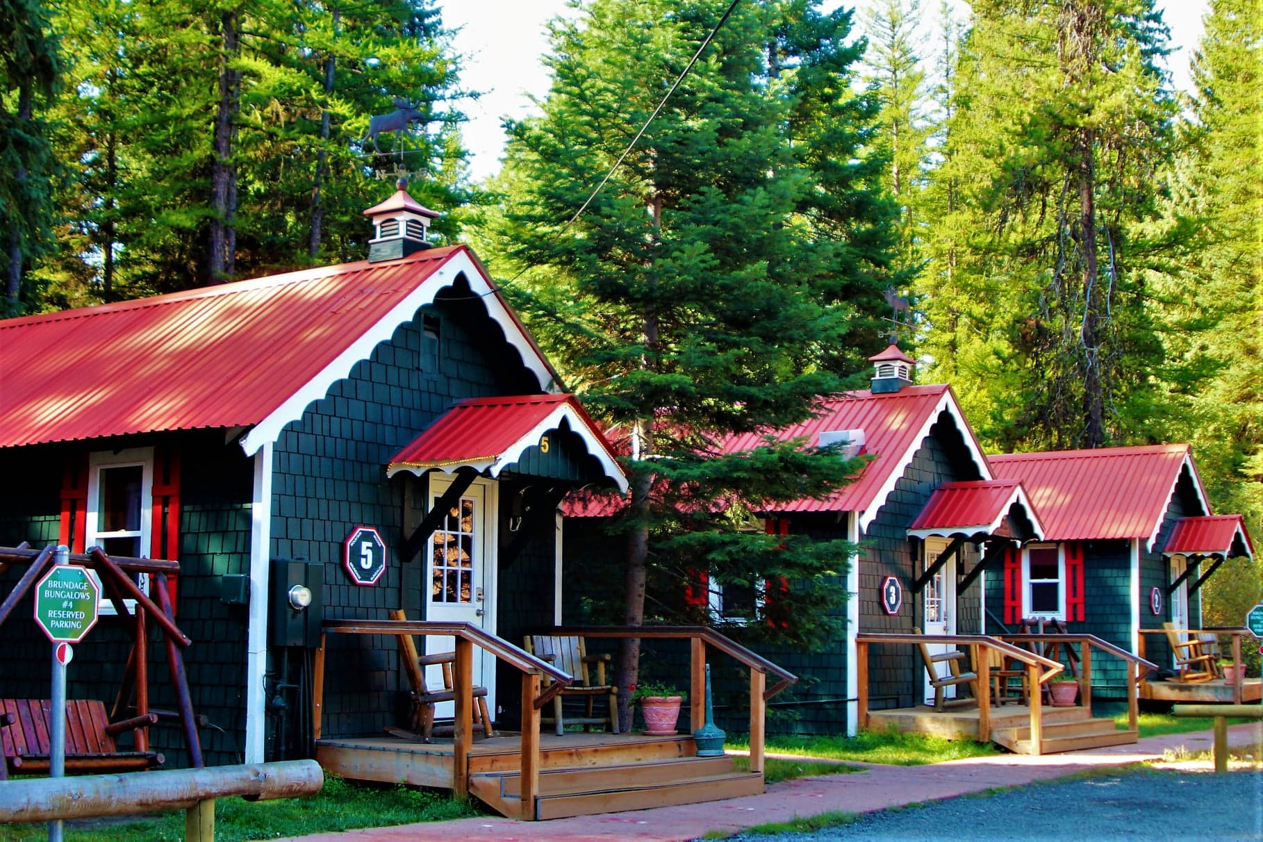 Red-roofed bungalows with white trim nestled among tall evergreen trees