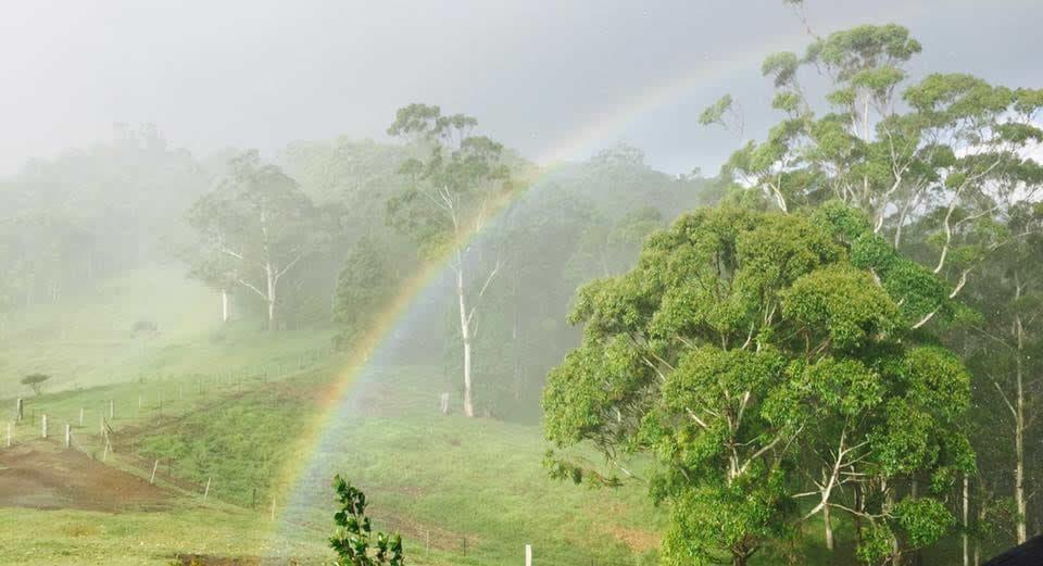 Misty valley landscape with eucalyptus trees and rainbow over pastoral fields