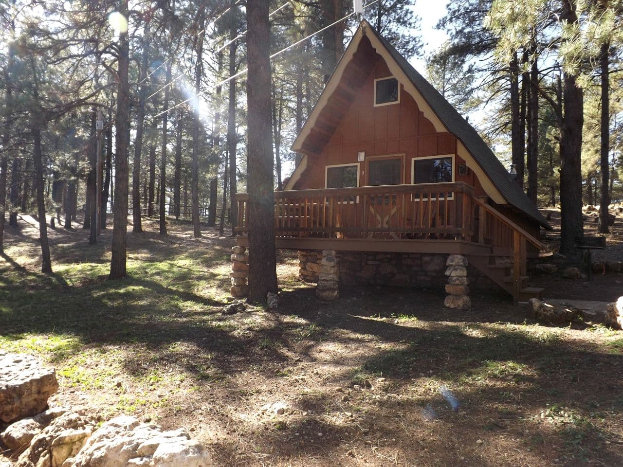 Brown A-frame cabin with wooden deck nestled among tall pine trees in forest setting