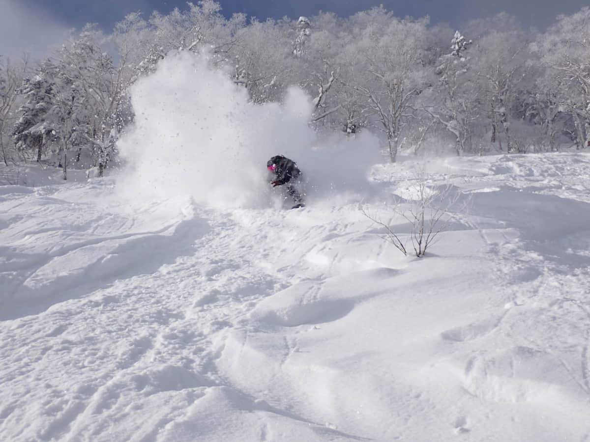 Snowboarder carving through deep powder in forested backcountry terrain