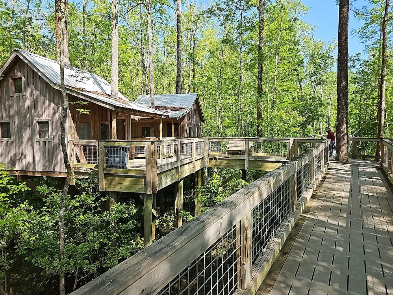 Elevated wooden treehouse with metal roof and deck surrounded by tall trees and forest