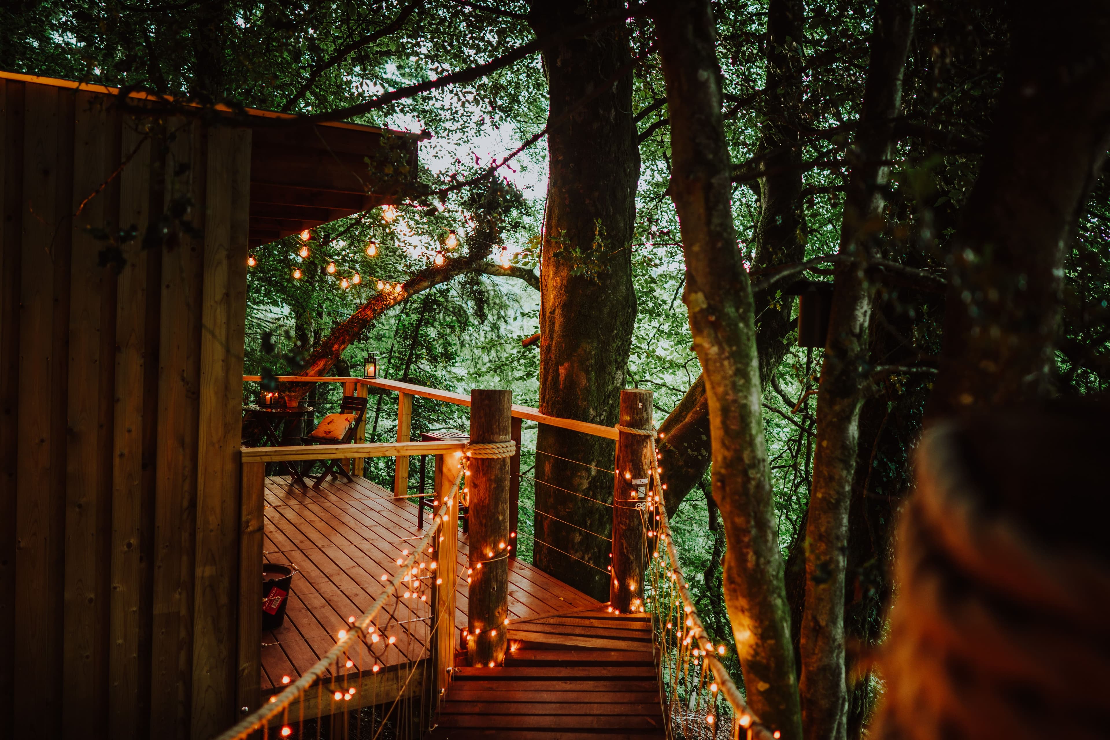 Wooden treehouse deck with string lights nestled among green trees and branches