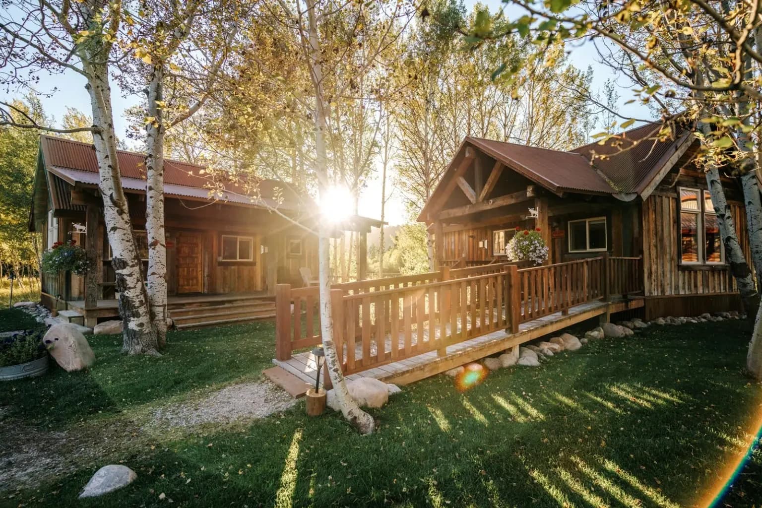 Wooden cabins with brown metal roofs nestled among birch trees at sunset