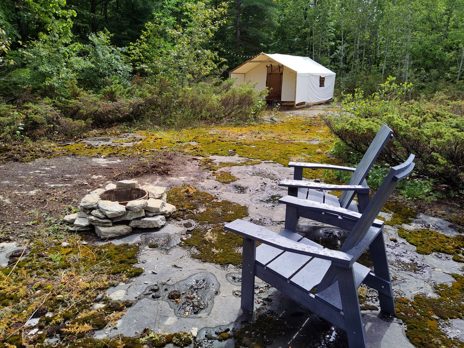 Glamping tent nestled in forest clearing with fire pit and Adirondack chairs