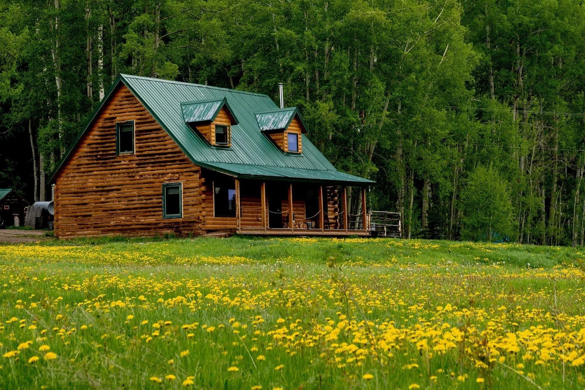 Log cabin with green metal roof nestled in forest clearing with yellow wildflowers