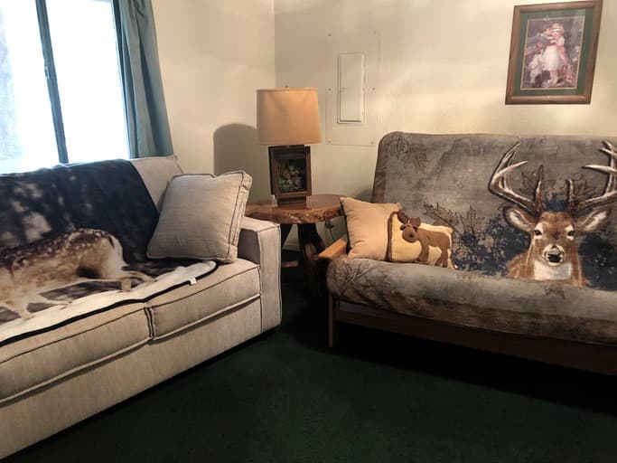 Cabin Getaway near to Pine, Arizona that is Perfect for a Family Vacation - Image 3