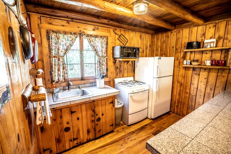 Gorgeous Pet-Friendly Log Cabin in the Woodlands of Evergreen, Colorado - Image 4