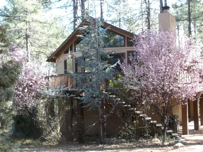 Wooden cabin with deck and blooming cherry trees in spring forest setting