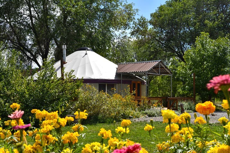 Yurt accommodation with flowering garden in foreground and wooden pergola