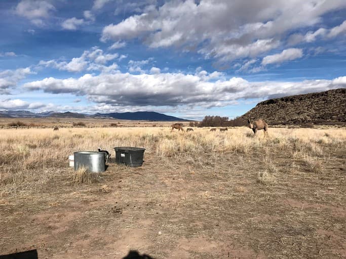 Romantic Camping Yurt on Camel Farm near Alamosa, Colorado - Image 4